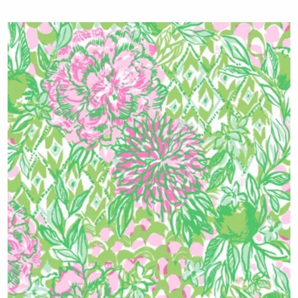 Lilly Pulitzer "Acrylic Wine Glass Set of Four in Lime Feeling Good” NWT - Picture 7 of 8